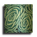 'Nestled Succulents' By Jan Bell Gold Metal Wall Art
