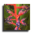 'Purple and Pink' By Jan Bell Gold Metal Wall Art