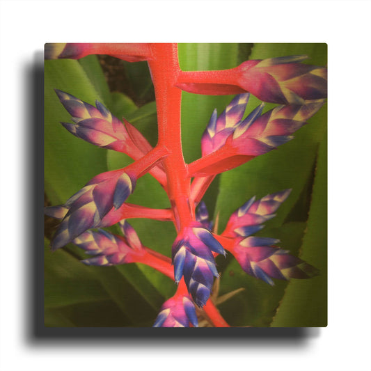 'Purple and Pink' By Jan Bell Gold Metal Wall Art