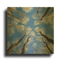'Reaching Skyward' By Jan Bell Gold Metal Wall Art