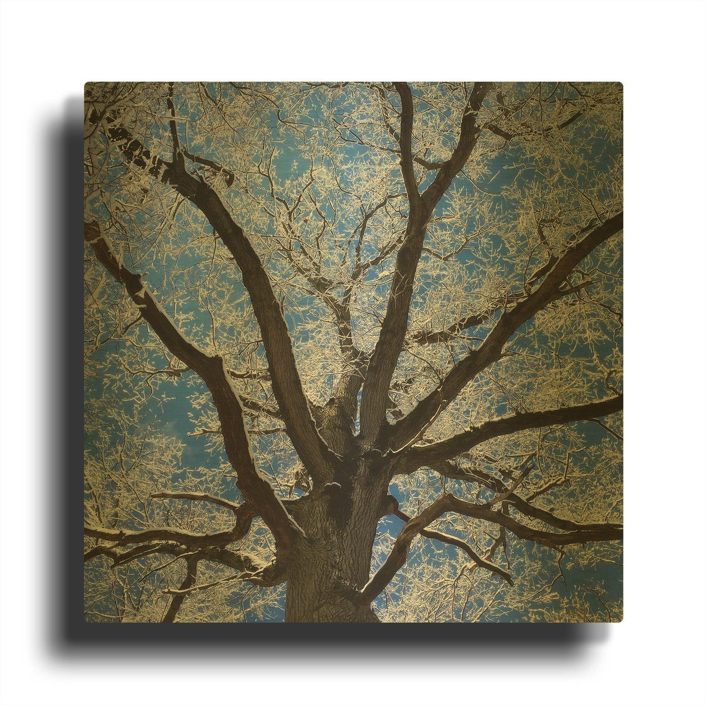 'Snow Covered Tree' By Jan Bell Gold Metal Wall Art