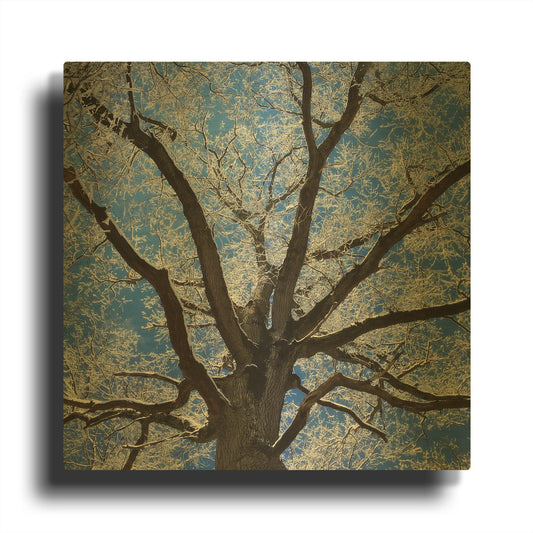 'Snow Covered Tree' By Jan Bell Gold Metal Wall Art