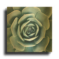 'After the Rain' By Jan Bell Gold Metal Wall Art