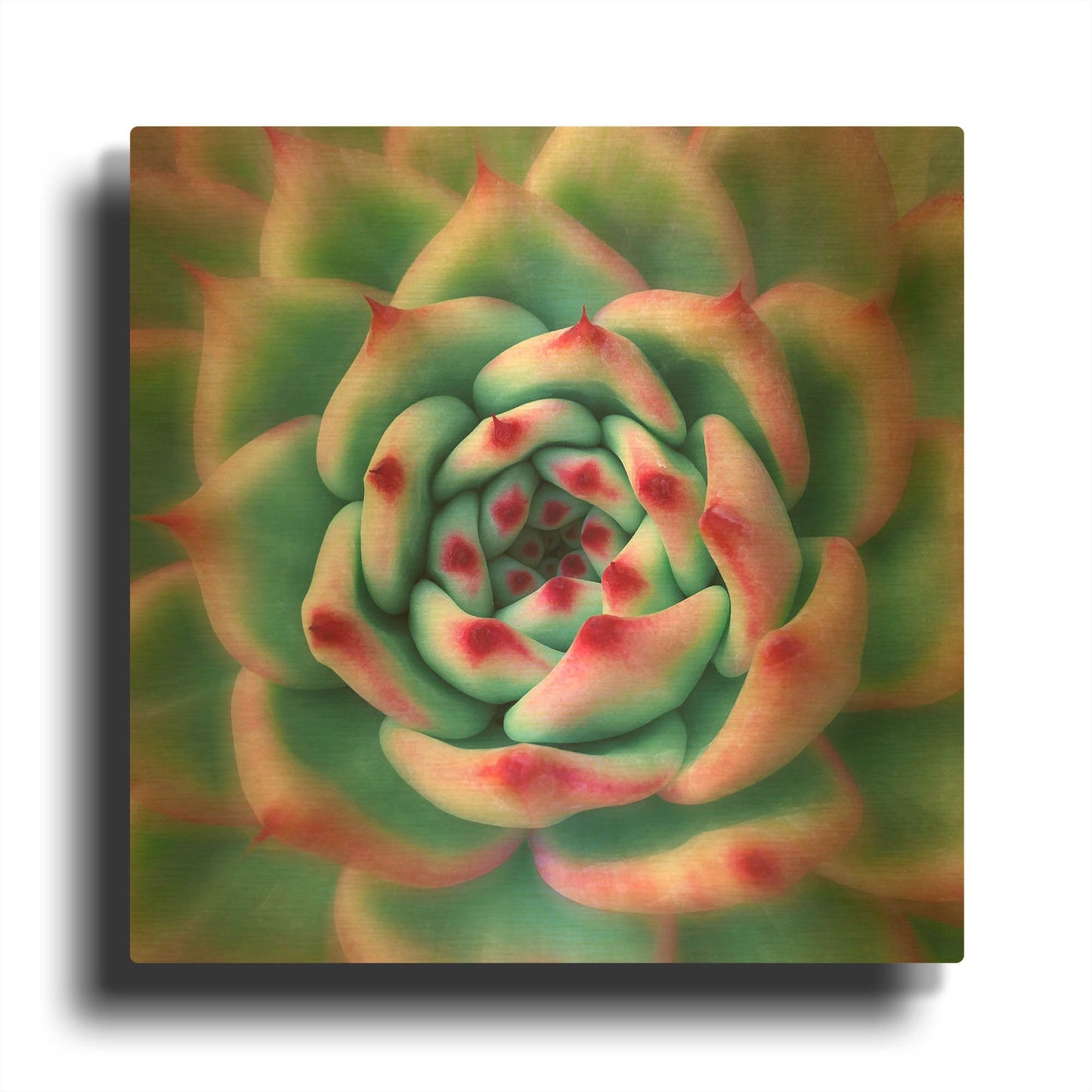 'Deep Red Tips' By Jan Bell Gold Metal Wall Art