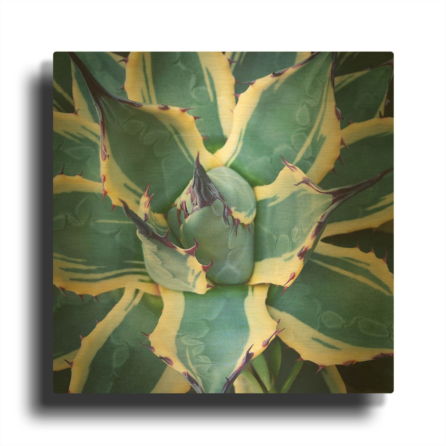 'Elegant Thorns' By Jan Bell Gold Metal Wall Art