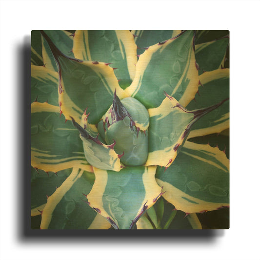 'Elegant Thorns' By Jan Bell Gold Metal Wall Art