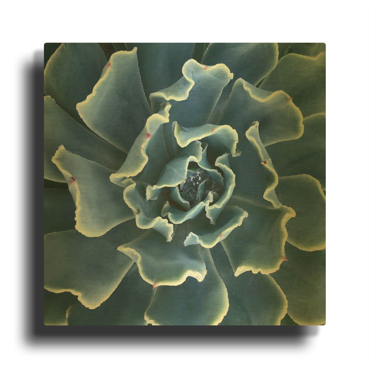'Ruffled Edges' By Jan Bell Gold Metal Wall Art