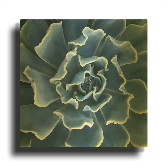 'Ruffled Edges' By Jan Bell Gold Metal Wall Art