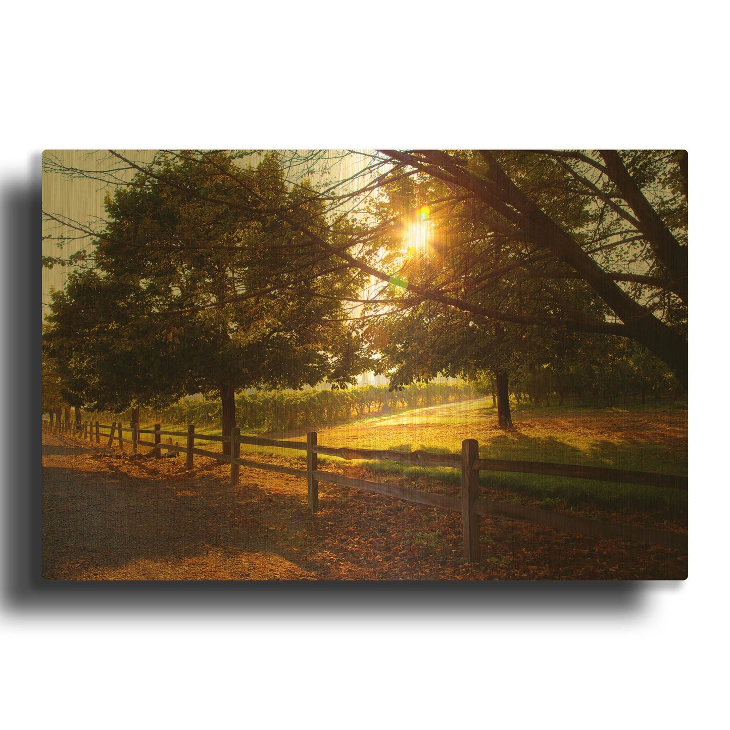'Dreamland Vineyard' By Michael Broom Gold Metal Wall Art