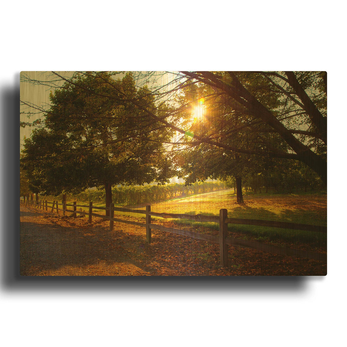 'Dreamland Vineyard' By Michael Broom Gold Metal Wall Art