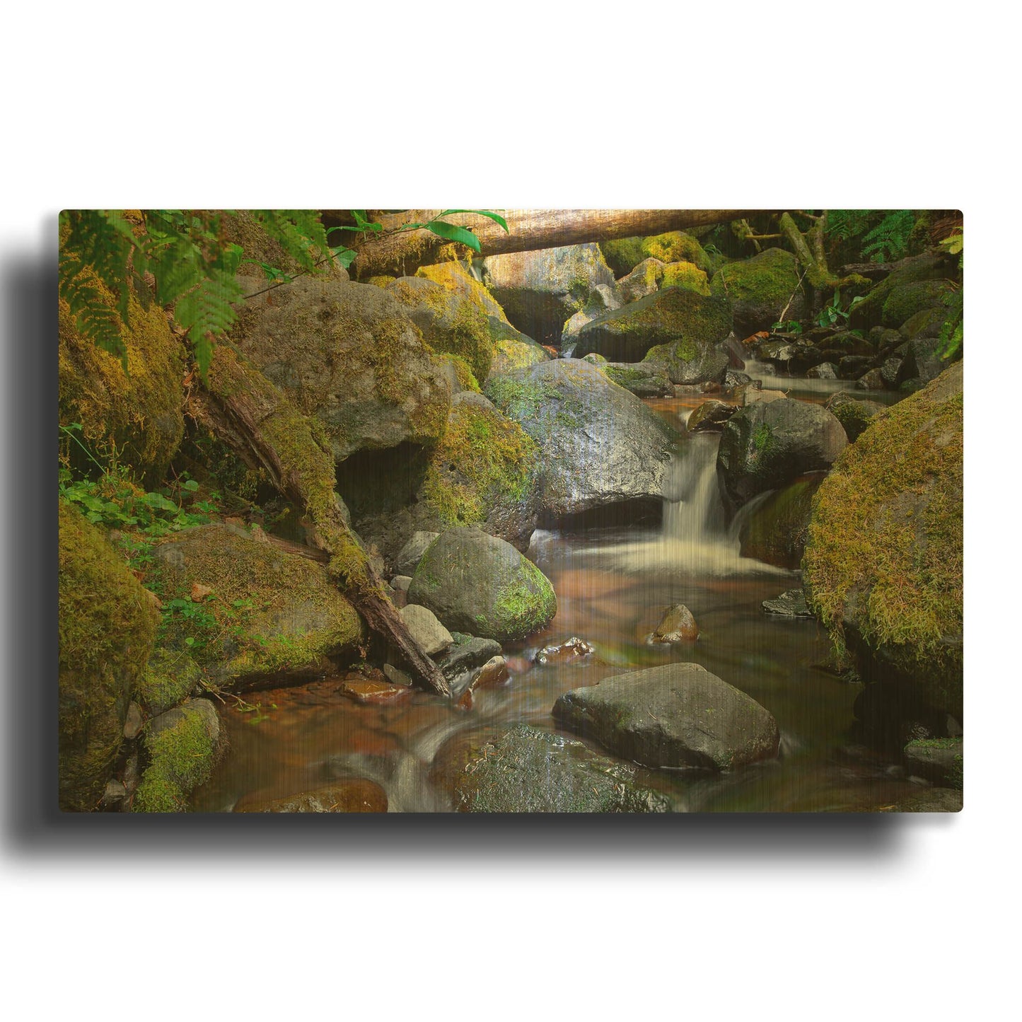 'Mossy Stream' By Michael Broom Gold Metal Wall Art