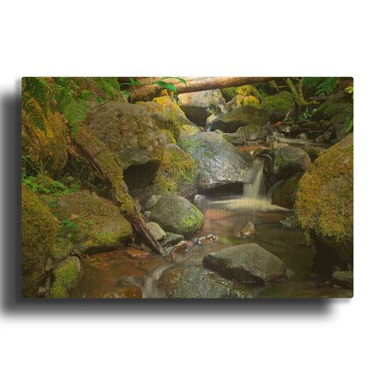 'Mossy Stream' By Michael Broom Gold Metal Wall Art