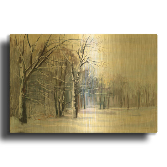 'Winter In The Park' By Carol Rowan Gold Metal Wall Art