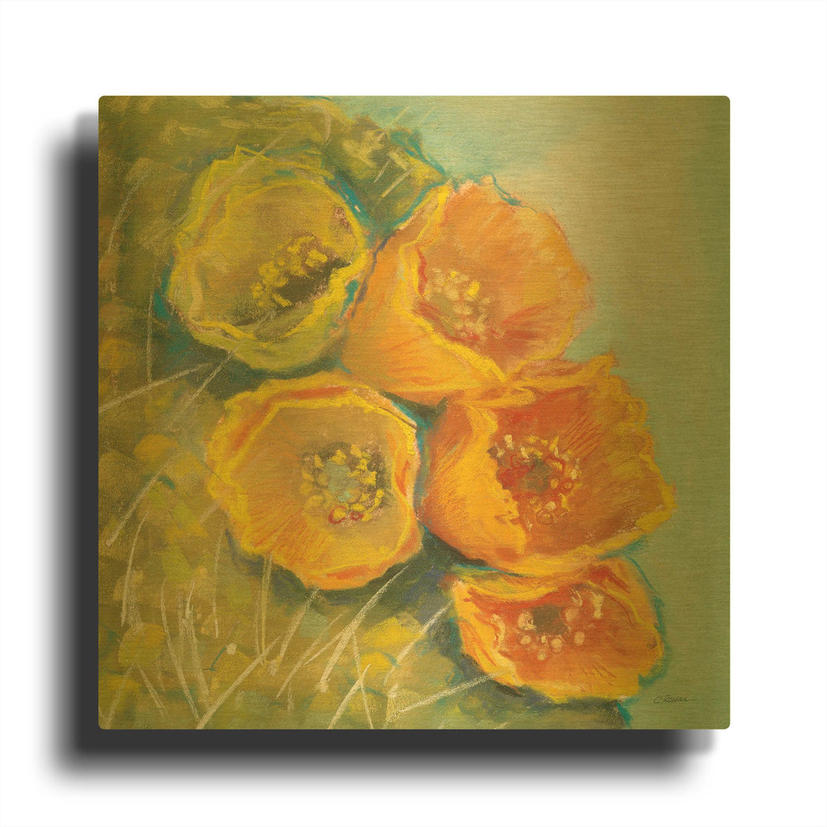 'Blooming Succulent II' By Carol Rowan Gold Metal Wall Art