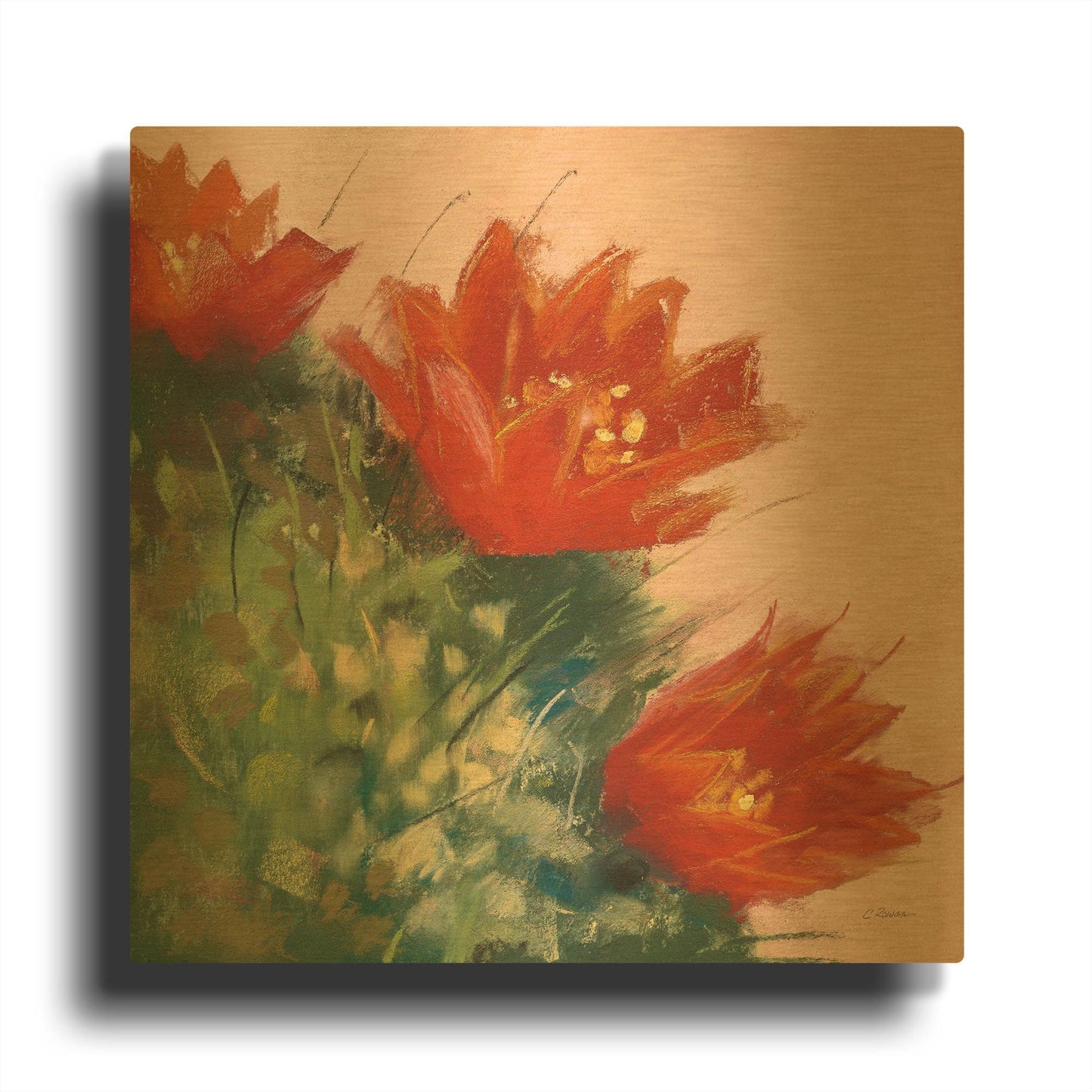 'Blooming Succulent IV' By Carol Rowan Gold Metal Wall Art