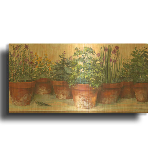 'Country Herbs' By Carol Rowan Gold Metal Wall Art