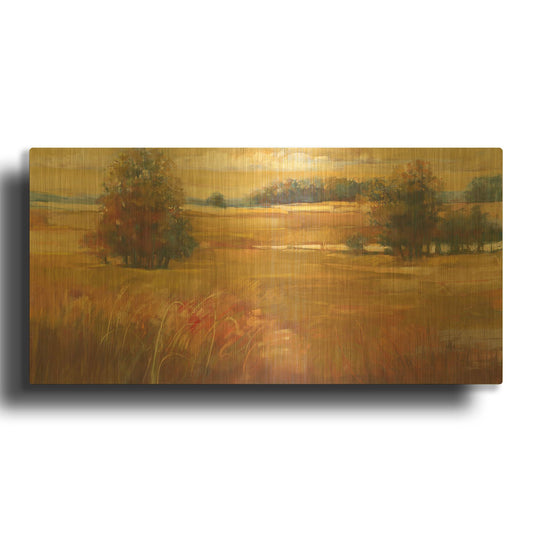 'October Light Golden Sky' By Carol Rowan Gold Metal Wall Art