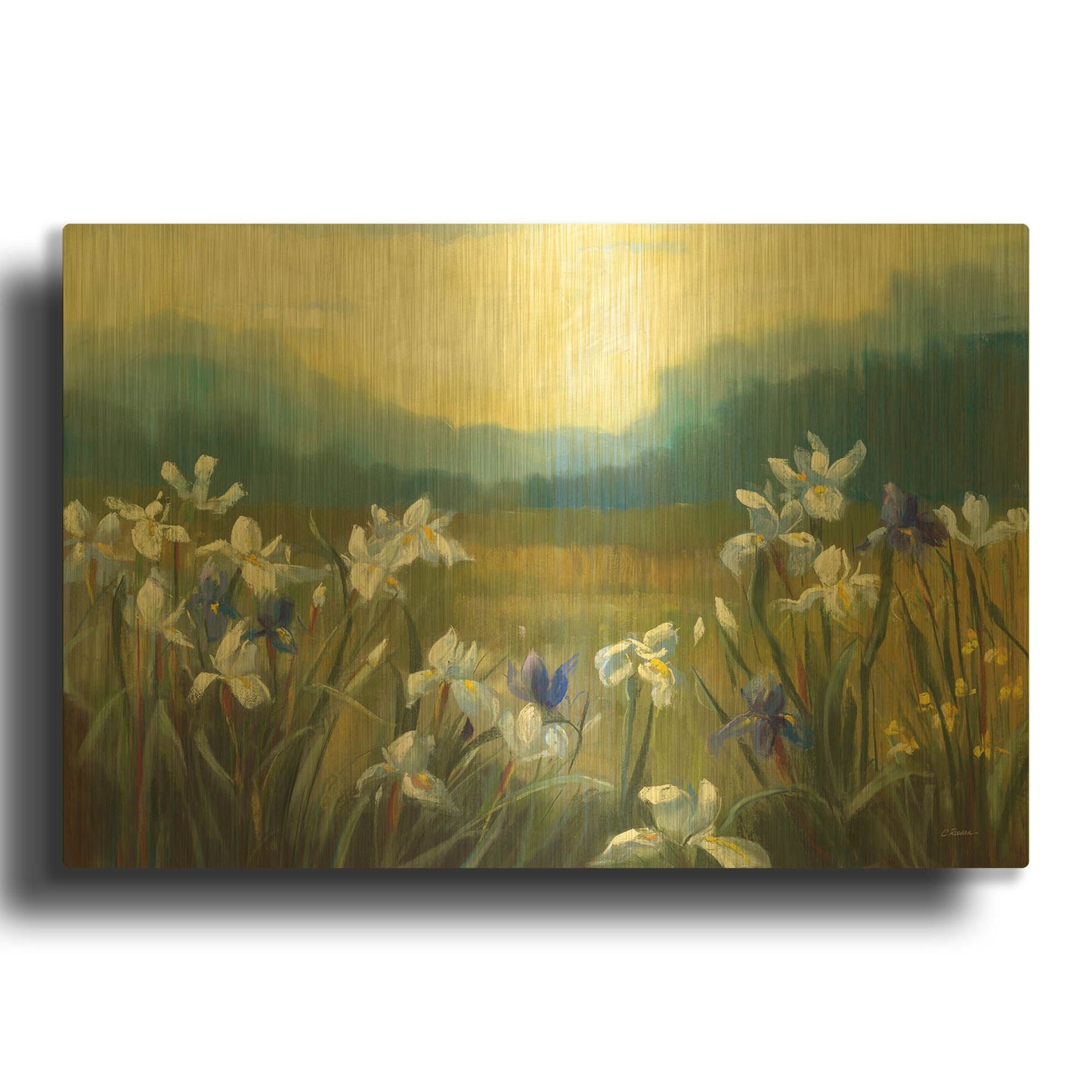 'Wild Iris' By Carol Rowan Gold Metal Wall Art