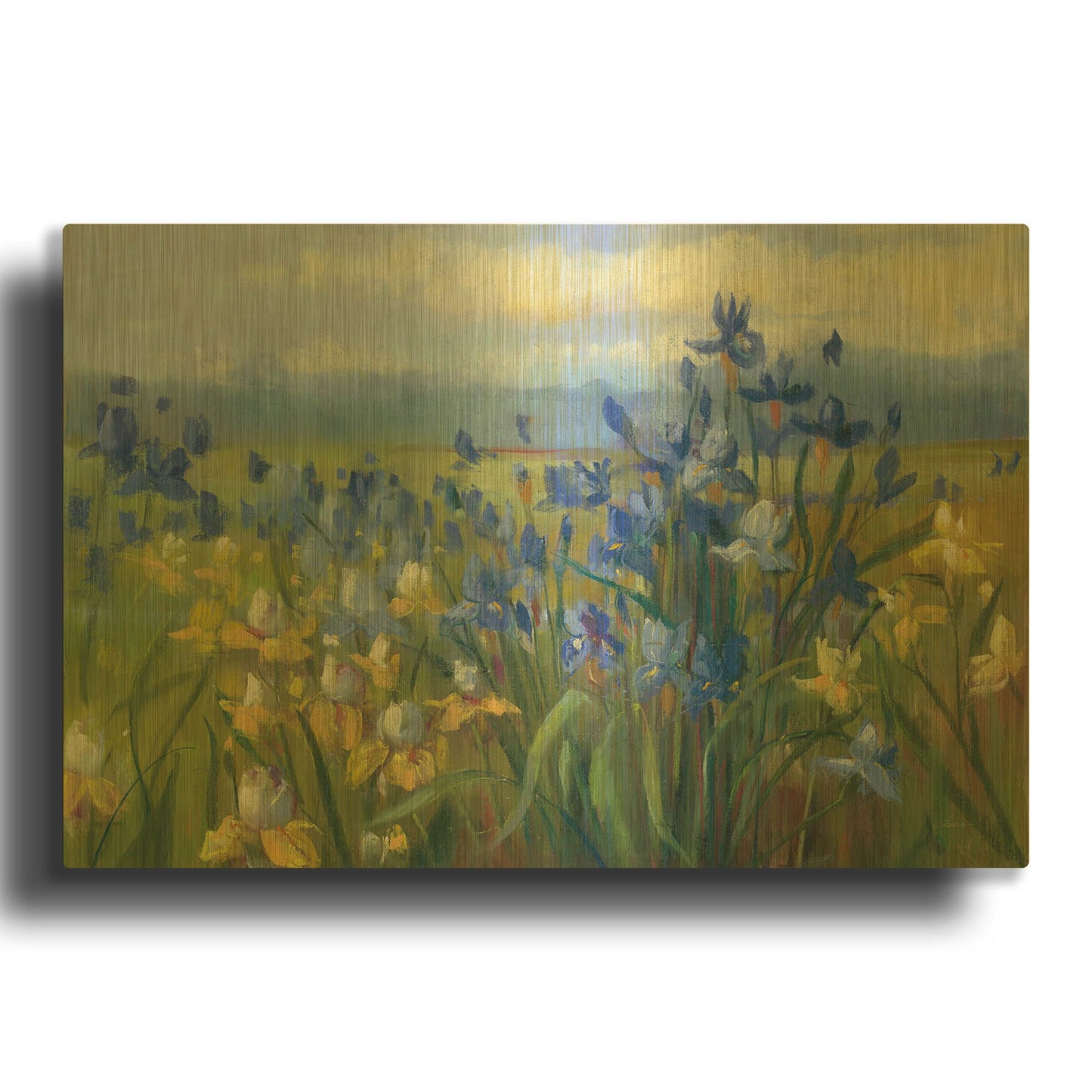 'Blue And Yellow Flower Field V2' By Carol Rowan Gold Metal Wall Art