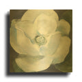 'Magnolia II Sage' By Carol Rowan Gold Metal Wall Art