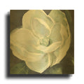 'Magnolia III Sage' By Carol Rowan Gold Metal Wall Art