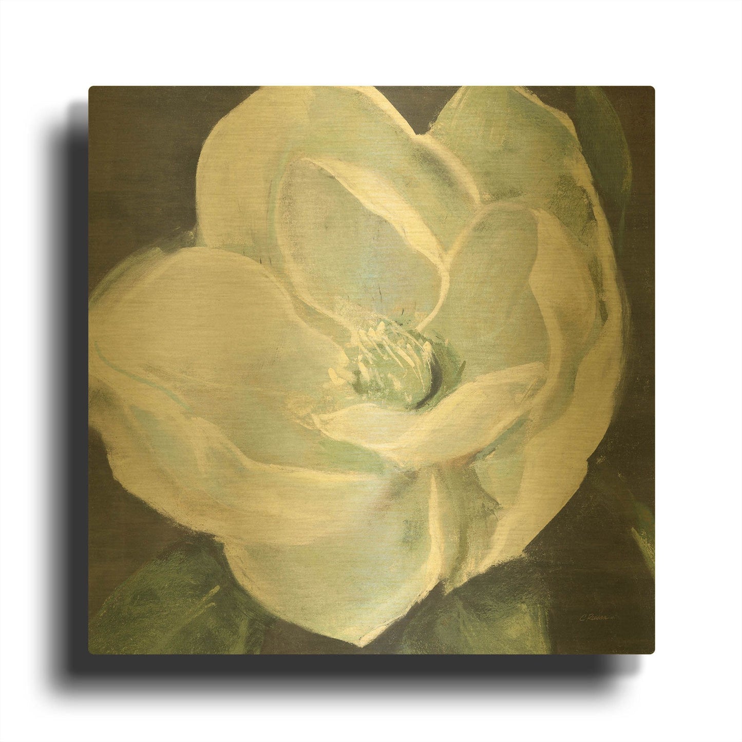 'Magnolia III Sage' By Carol Rowan Gold Metal Wall Art
