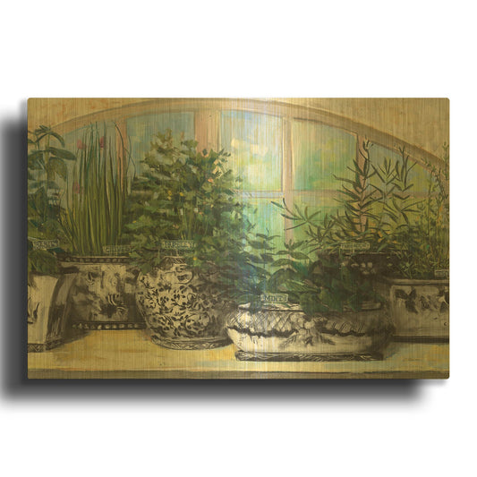 'Windowsill Herbs Bw Vases Crop' By Carol Rowan Gold Metal Wall Art