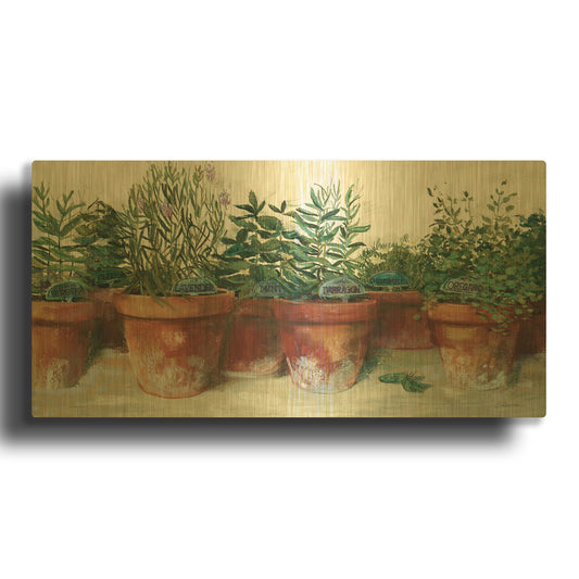 'Pots Of Herbs I White' By Carol Rowan Gold Metal Wall Art