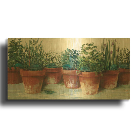 'Pots Of Herbs II White' By Carol Rowan Gold Metal Wall Art