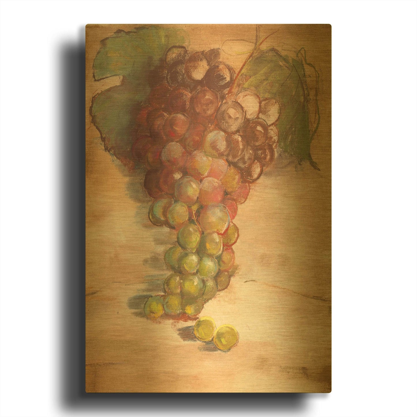 'Grape Harvest II No Label' By Carol Rowan Gold Metal Wall Art