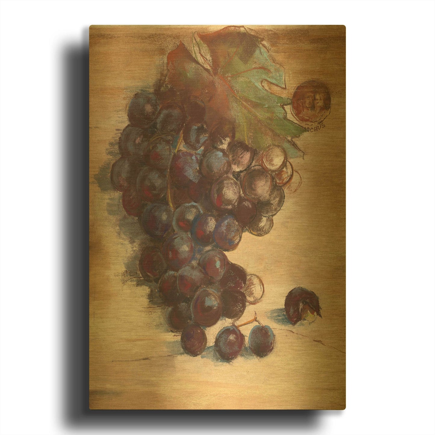 'Grape Harvest III No Label' By Carol Rowan Gold Metal Wall Art