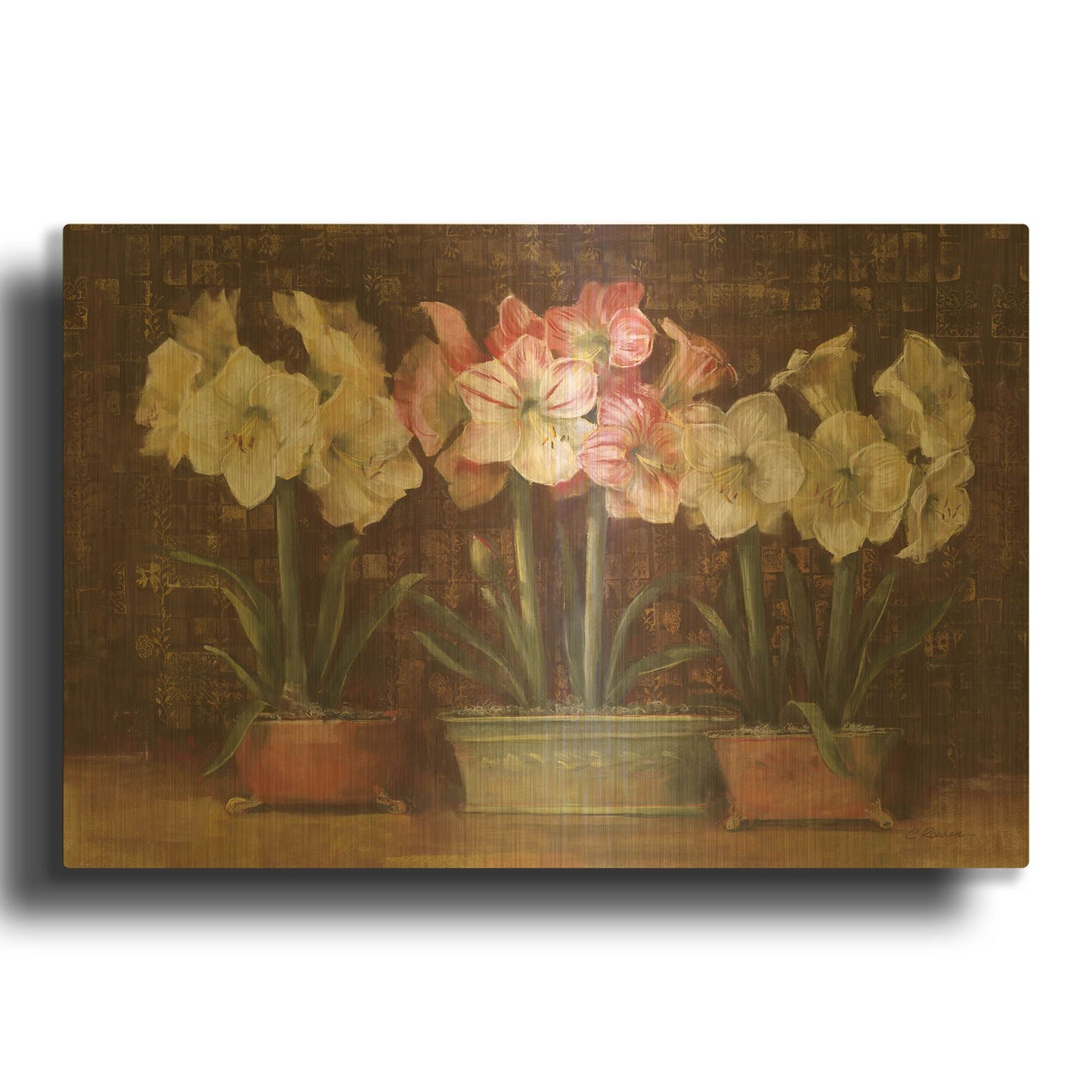 'Amaryllis On Brown' By Carol Rowan Gold Metal Wall Art