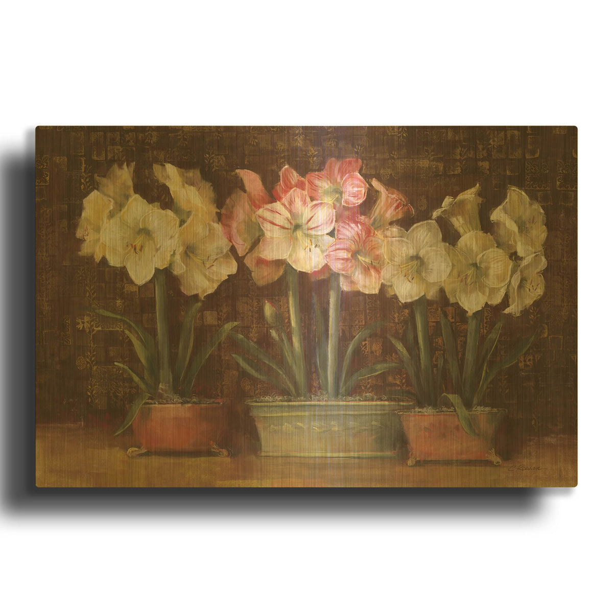 'Amaryllis On Brown' By Carol Rowan Gold Metal Wall Art