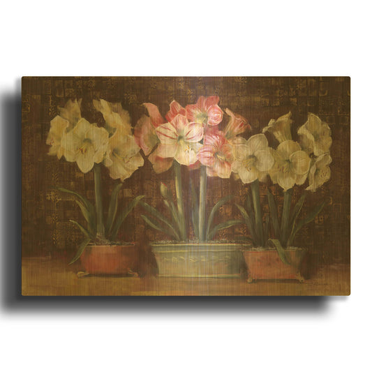 'Amaryllis On Brown' By Carol Rowan Gold Metal Wall Art