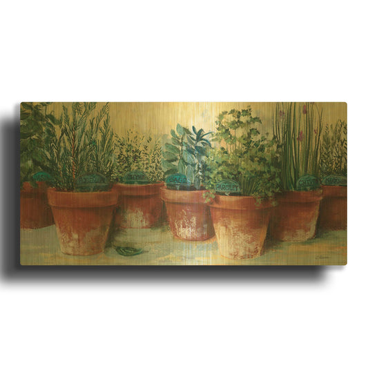 'Potted Herbs II' By Carol Rowan Gold Metal Wall Art