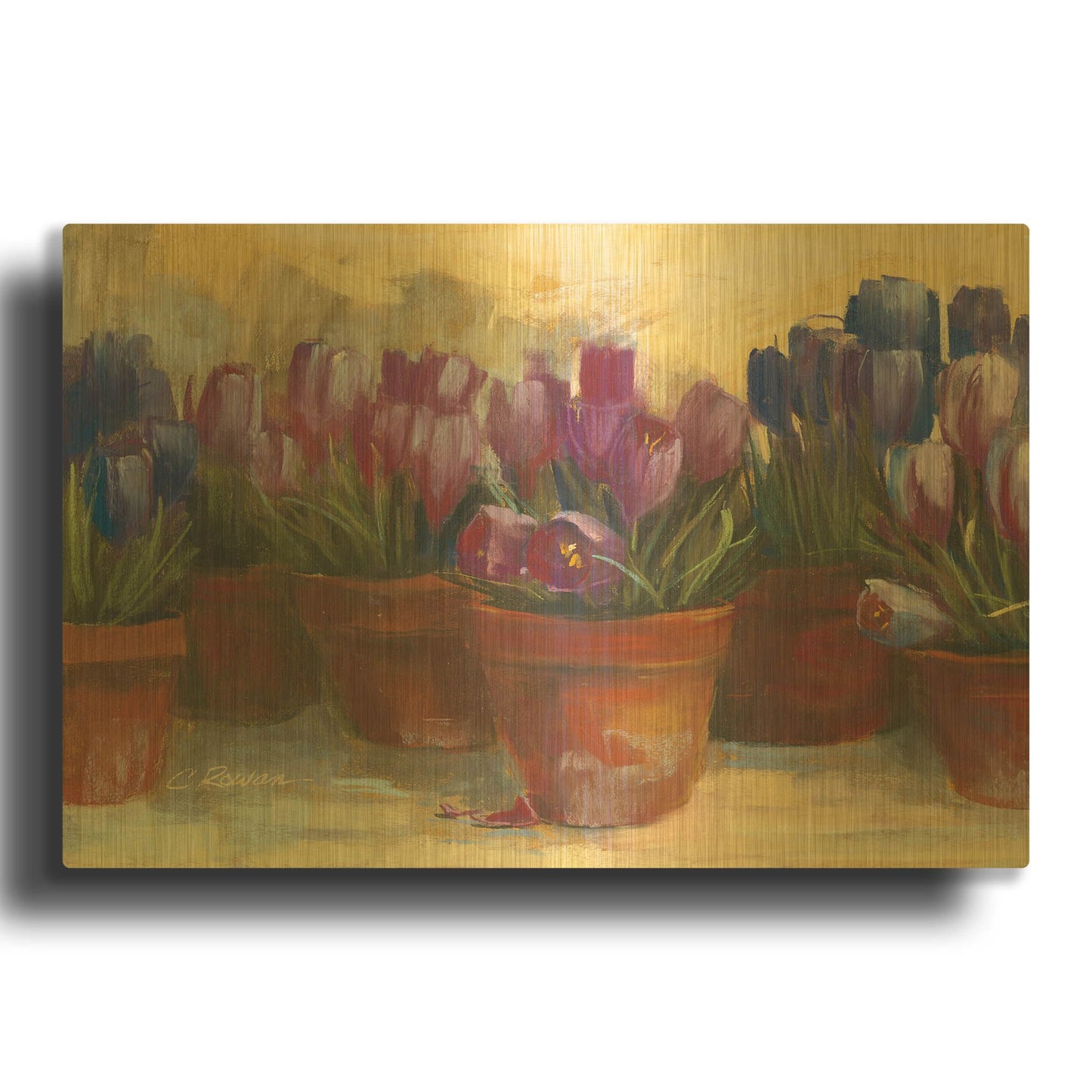 'Spring Crocus' By Carol Rowan Gold Metal Wall Art