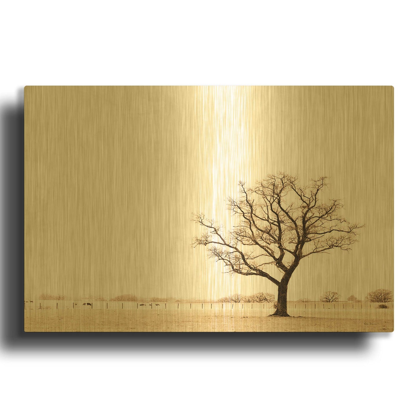 'Bleached Bones Of Winter' By Keri Bevan Gold Metal Wall Art