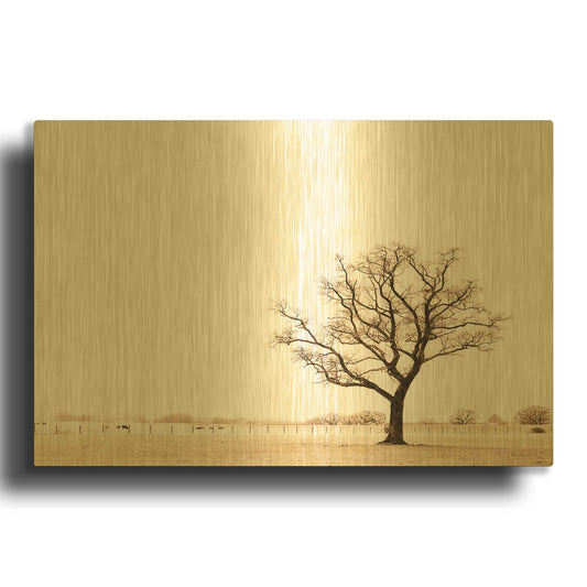 'Bleached Bones Of Winter' By Keri Bevan Gold Metal Wall Art