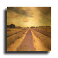 'Lavender Fields Forever' By Keri Bevan Gold Metal Wall Art