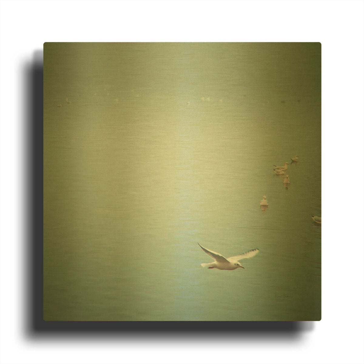 'Soul Birds Harbor Gray' By Keri Bevan Gold Metal Wall Art