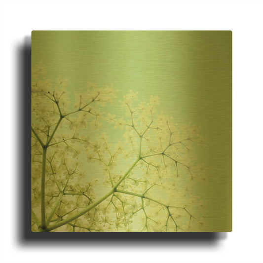 'Cuckoo Flowers' By Keri Bevan Gold Metal Wall Art