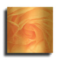 'Georgia' By Keri Bevan Gold Metal Wall Art