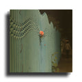 'Rose On Pentonville' By Keri Bevan Gold Metal Wall Art