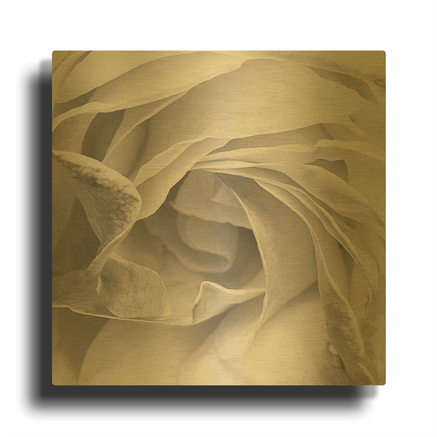 'Georgia Bw' By Keri Bevan Gold Metal Wall Art