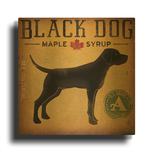 'Black Dog At Show No VT' By Ryan Fowler Gold Metal Wall Art