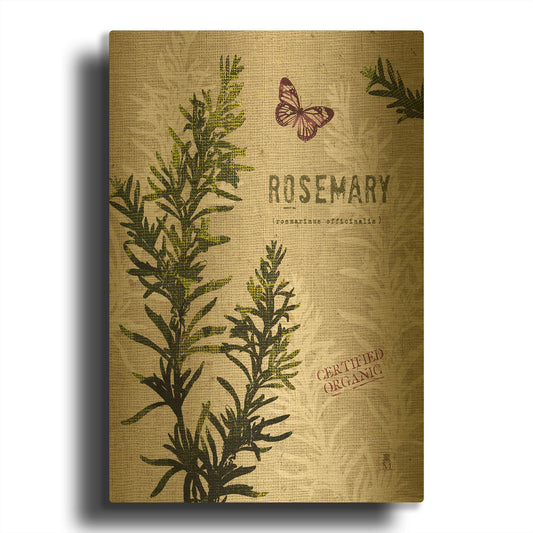 'Organic Rosemary' By Studio Mousseau Gold Metal Wall Art