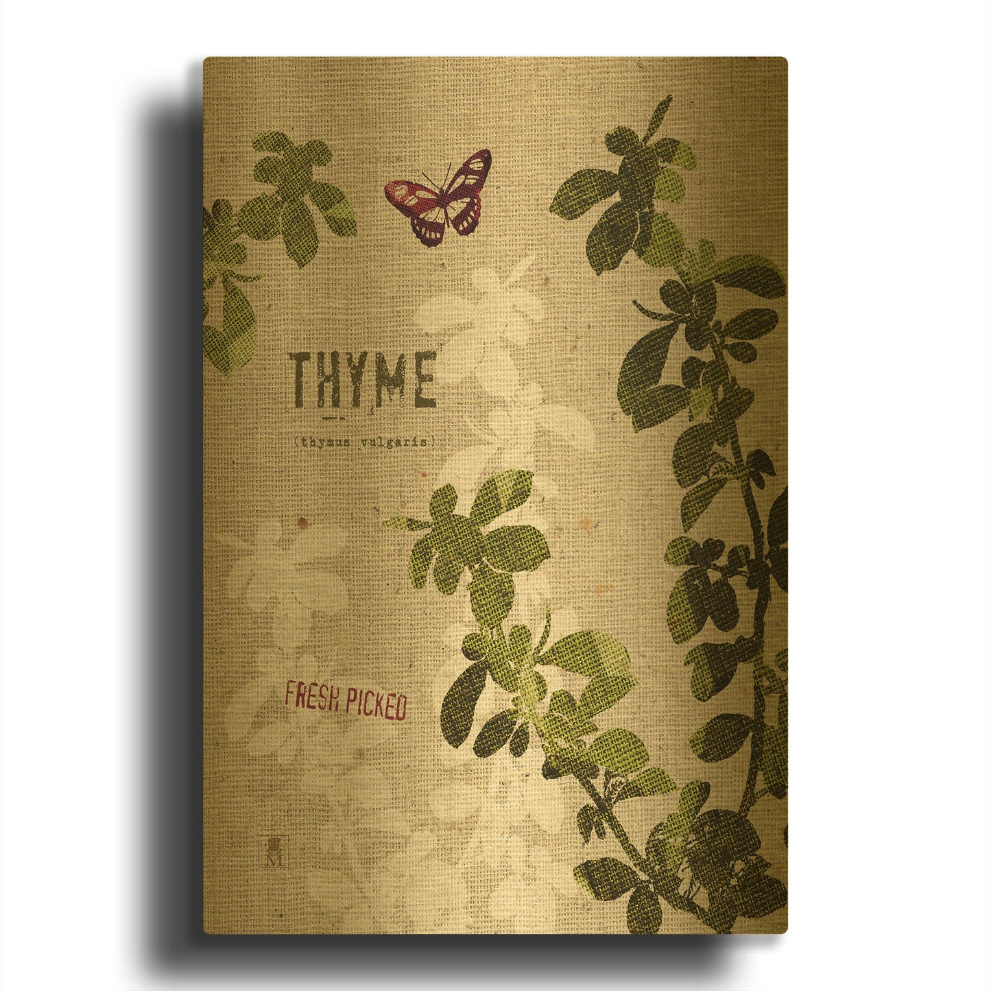 'Organic Thyme' By Studio Mousseau Gold Metal Wall Art