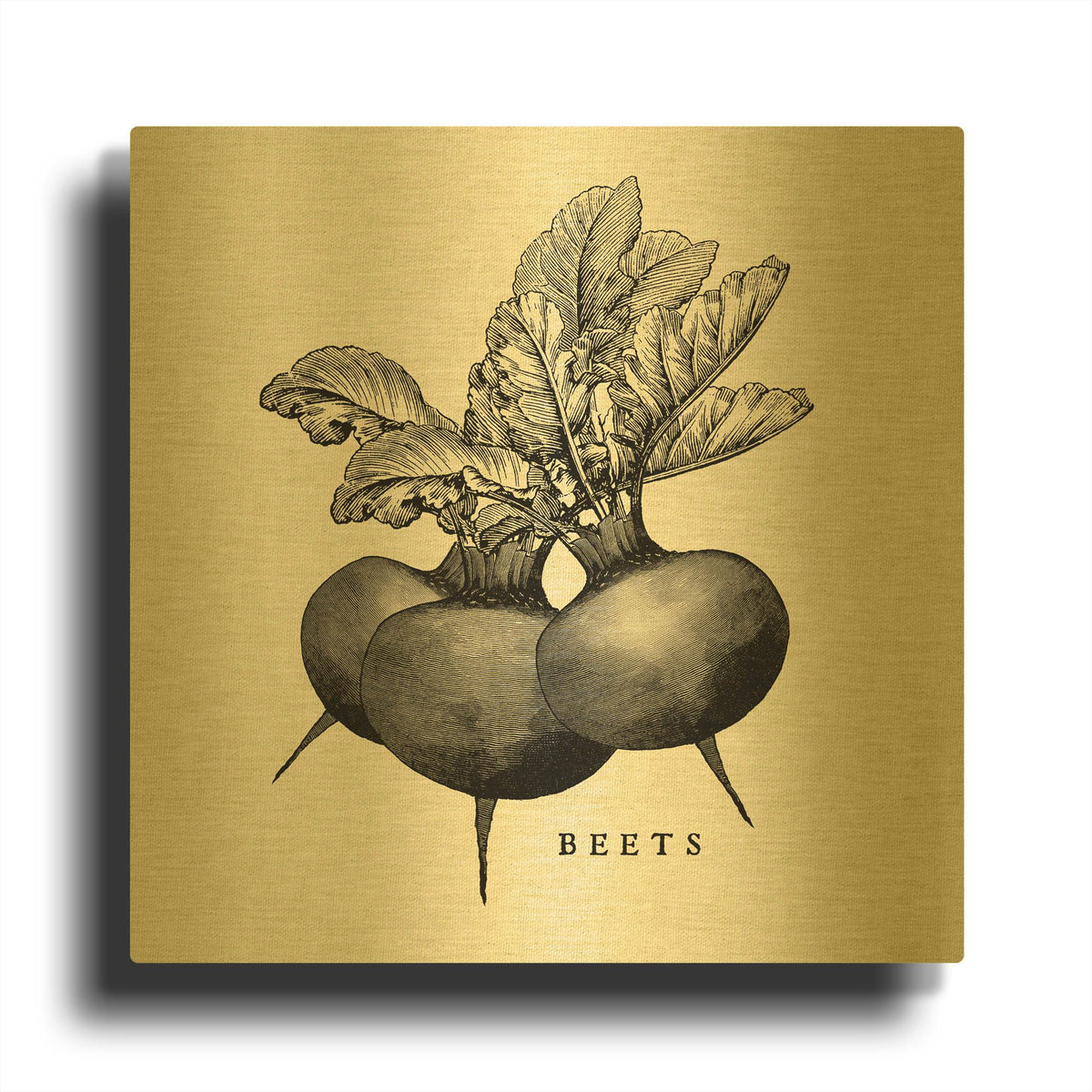'Linen Vegetable BW Sketch Beets' By Studio Mousseau Gold Metal Wall Art