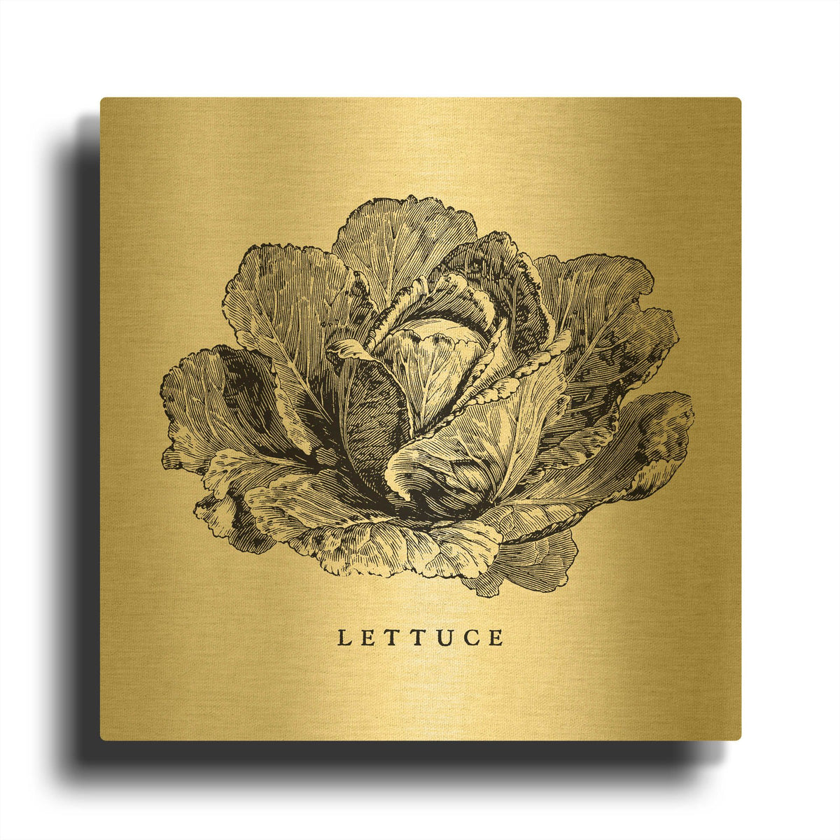 'Linen Vegetable BW Sketch Lettuce' By Studio Mousseau Gold Metal Wall Art