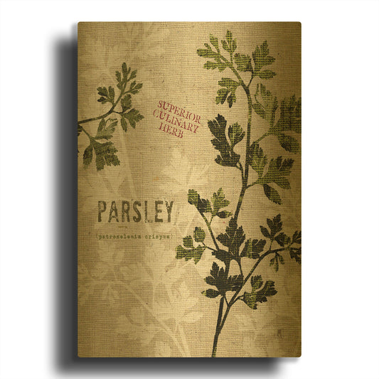 'Organic Parsley - Superior Culinary Herb' By Studio Mousseau Gold Metal Wall Art